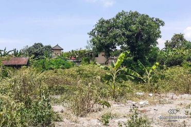 Image 1 from Land For Sale Leasehold in Babakan - Canggu Utara
