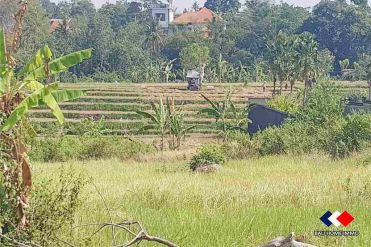 Image 1 from Tanah di Kontrakan di Babakan - Canggu Utara