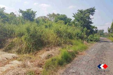 Image 3 from Land For Sale Leasehold in Babakan - North Canggu