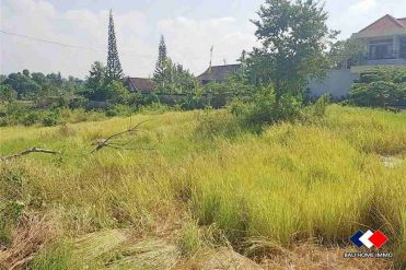 Image 2 from Land For Sale Leasehold in Babakan - North Canggu