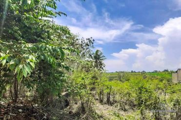 Image 1 from Land For Sale Leasehold in Babakan - North Canggu