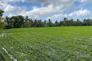 Image 1 from Land For Sale Leasehold in Buwit - North Canggu