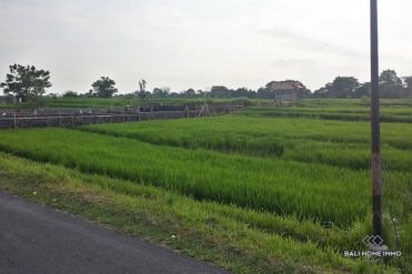 Image 1 from Land for Sale Leasehold in Canggu