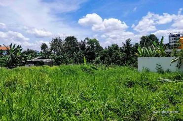 Image 1 from Land For Sale Leasehold in Canggu - North Canggu