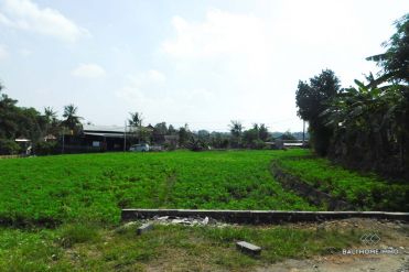 Image 1 from Land For Sale Leasehold in Canggu - Padonan