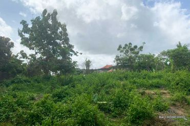 Image 1 from Land For Sale Leasehold in Canggu