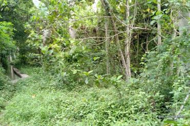 Image 3 from Land For Sale Leasehold in Kaba-Kaba