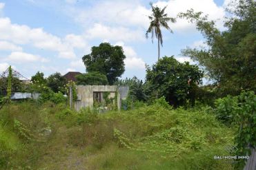 Image 2 from Land For Sale Leasehold in Mengwi - North Canggu