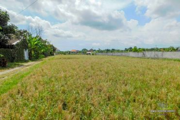 Image 2 from Land For Sale Leasehold in Padonan - North Canggu