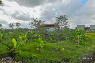 Image 2 from Tanah di Kontrakan di Padonan - Canggu Utara