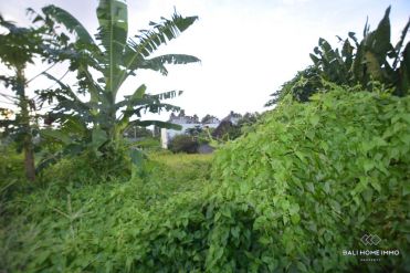Image 1 from Land For Sale Leasehold In Padonan - North Canggu
