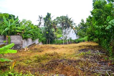 Image 1 from Land for Sale Leasehold in Pererenan