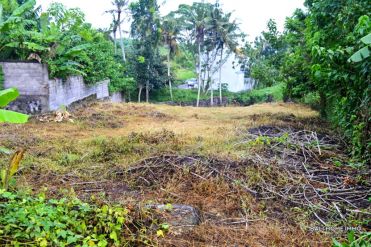Image 3 from Land for Sale Leasehold in Pererenan