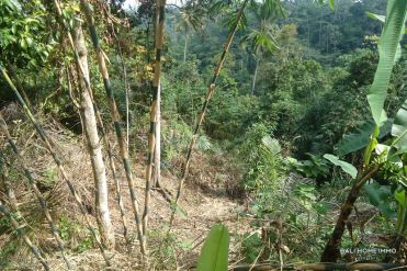 Image 1 from Land for Sale Leasehold in Tampaksiring, Ubud