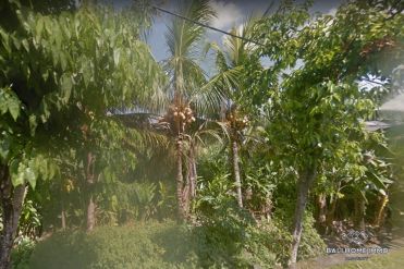Image 1 from Land For Sale Leasehold In Tumbak Bayuh - North Pererenan