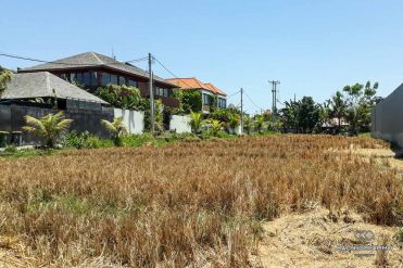 Image 3 from Land For Sale Leasehold Perfectly Located in Canggu Batu Bolong