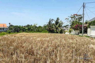 Image 1 from Land For Sale Leasehold Perfectly Located in Canggu Batu Bolong