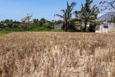 Image 2 from Land For Sale Leasehold Perfectly Located in Canggu Batu Bolong