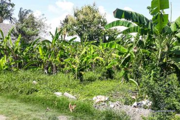 Image 1 from Land For Sale Leasehold Perfectly Located in Pererenan