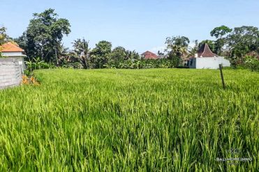 Image 1 from Land For Sale Leasehold Quiet Located in North Canggu