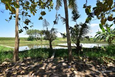 Image 3 from Land For Sale Leasehold in Canggu Padonan