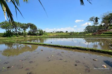 Image 1 from Tanah di Sewakan Lokasi yang Tenang di Canggu Padonan