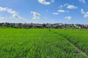 Image 3 from Land with Ricefield View For Sale Leasehold in Buduk - North Canggu