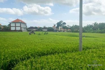 Image 2 from Land With Ricefield View For Sale Leasehold in North Canggu