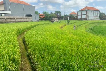 Image 1 from Land With Ricefield View For Sale Leasehold in North Canggu