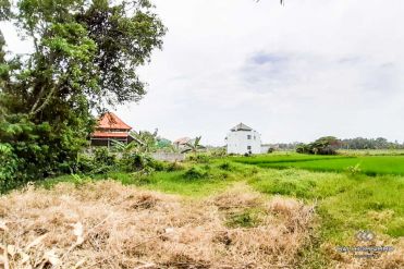 Image 1 from Land With Ricefield View For Sale Leasehold Near Kedungu Beach