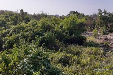 Image 1 from Land for Sale Freehold nearby the beach in Canggu - Batu Bolong