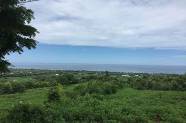 Image 3 from Ocean view land for sale freehold in lovina