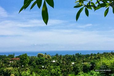 Image 1 from Ocean view land for sale freehold in Lovina