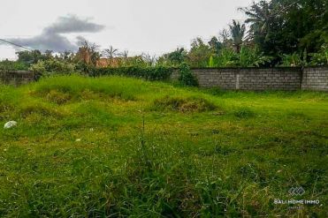 Image 1 from Ricefield view land for sale freehold in Canggu - Babakan