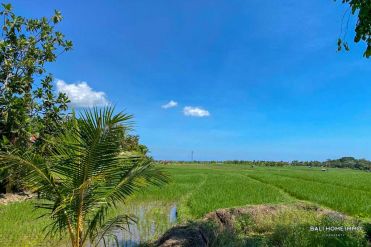 Image 2 from Ricefield view land for sale freehold in Canggu - Babakan