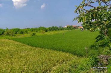 Image 1 from Ricefield view land for sale freehold in Canggu - Batu Bolong