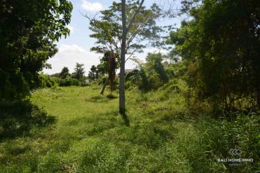 Image 2 from Ricefield view land for sale freehold in Canggu - Pererenan