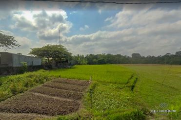 Image 1 from Ricefield view land for sale freehold in Tanah lot - Kaba kaba