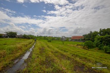 Image 2 from Ricefield vue terrain à vendre en pleine propriété dans la région de tabanan - kaba kaba