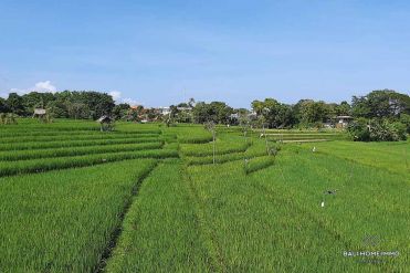 Image 2 from Terrain avec vue sur les rizières à vendre en pleine propriété à Umalas