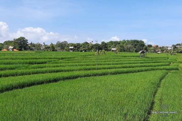 Image 1 from Terrain avec vue sur les rizières à vendre en pleine propriété à Umalas