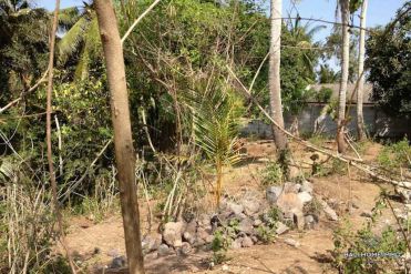 Image 2 from Riverside Land For Sale Freehold in Pantai Nyanyi