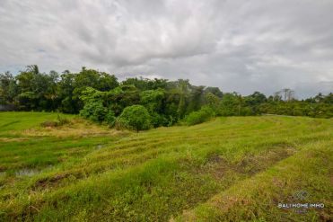 Image 3 from Terrain en bordure de rivière à vendre en pleine propriété à Tanah lot - Kaba Kaba